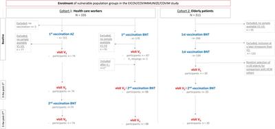 Levels of high-sensitive troponin T and mid-regional pro-adrenomedullin after COVID-19 vaccination in vulnerable groups: monitoring cardiovascular safety of COVID-19 vaccination